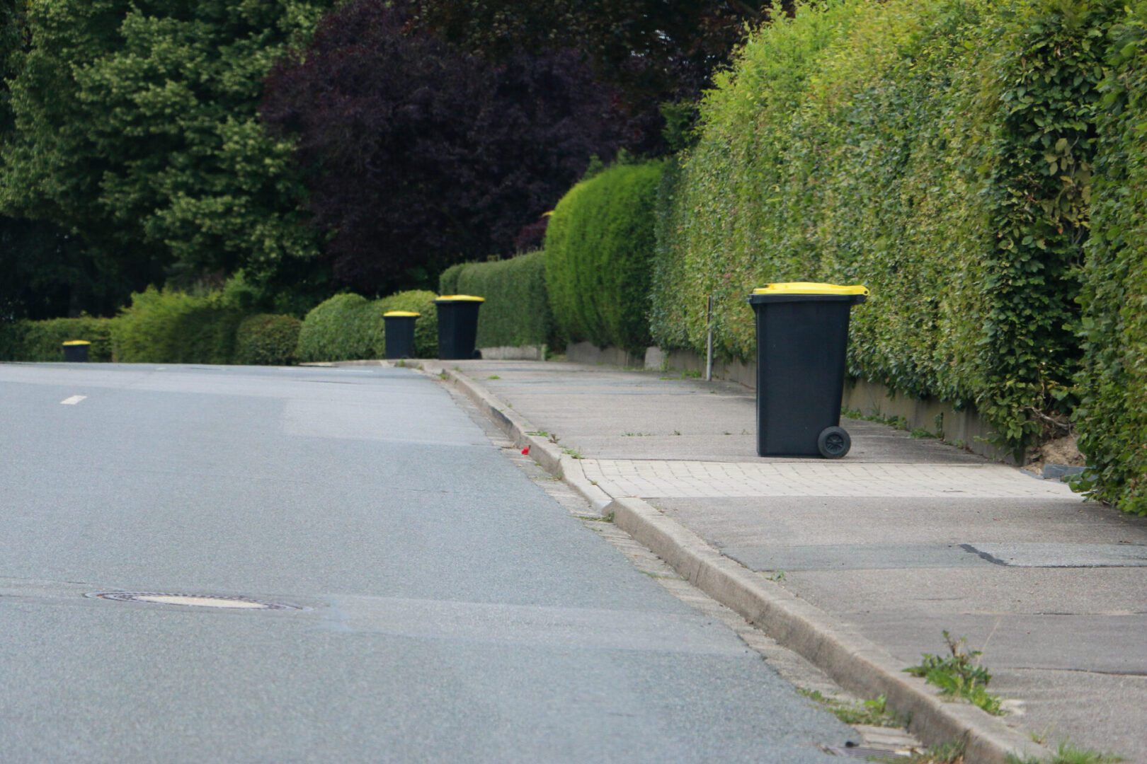 Garbage bins lined up along a quiet residential street.